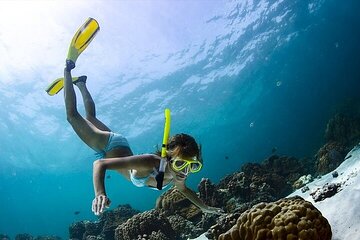 Save 10.01%! Escambrón Marine Park Snorkeling Tour