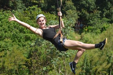 Shore Excursion: Zip Line Adventure with Monkey/Sloth Hang-out and Snorkel