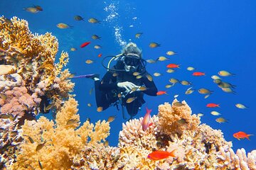 Full-Day Private Hurghada Diving and Snorkeling Trip