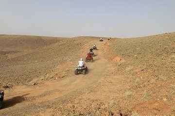 Activity: Half Day Quad Bike in Marrakech Palm Groves