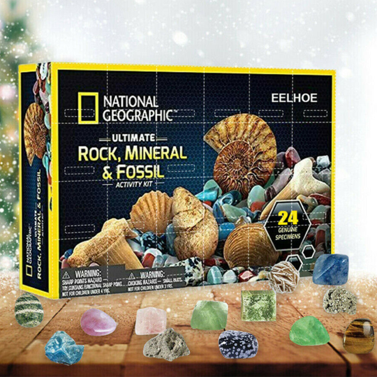 Mineral Fossil Stone Sets Christmas Advent Calendar Gift Box Child Early Education Toys