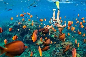 Snorkeling Trip to Gili Kondo,Gili Bidara, & Gili Petagan small islands
