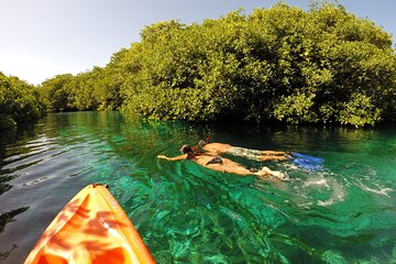 Tulum Reef and Cenote Snorkel Tour