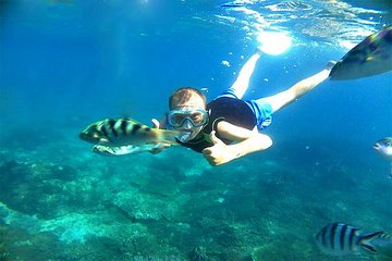 Amazing Snorkeling at Blue Lagoon